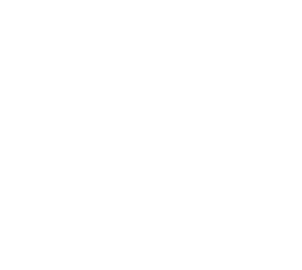 northstar plumbing and heating ltd logo upscaled white